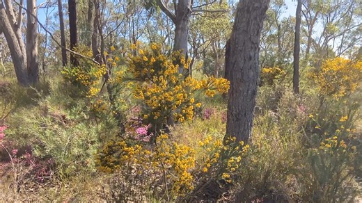 Danuta Hulajko on Reels | Facebook