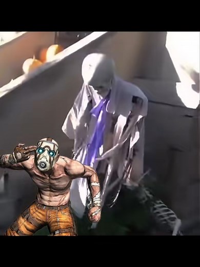 Hilarious Psycho Memes from Borderlands