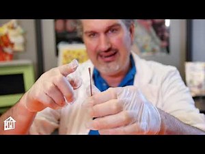 Squid Dissection - Educator Moment