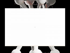 Loading and introductory animation - Awwwards