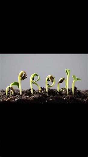 From a tiny seed to a powerful idea, watch the magic of growth unfold. 🌱✨