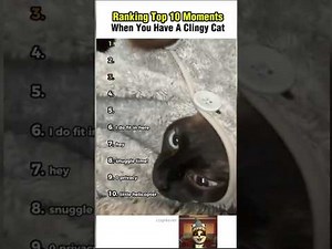2025 November Cat Ranking Combinations