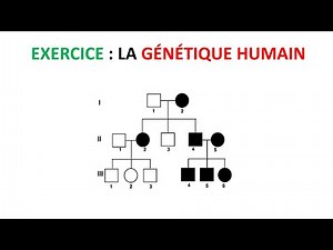 exercice la génétique humain