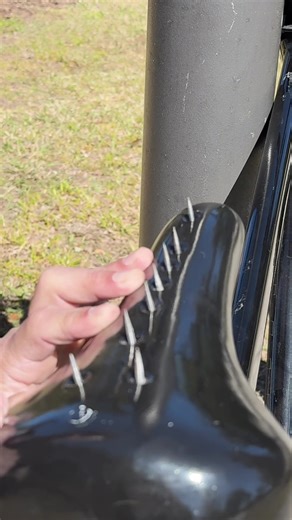 Electric spike seat prank! #prank #comedy #viral #FunnyPranks #baitprank