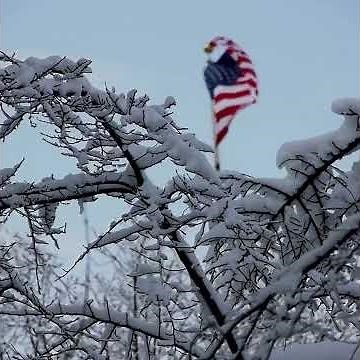History of the Pledge of Allegiance #americanhistory #americanism #historyfacts #patriotism#patriot