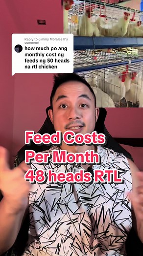 RTL Chicken Feed Costs Calculation and Farming Tips
