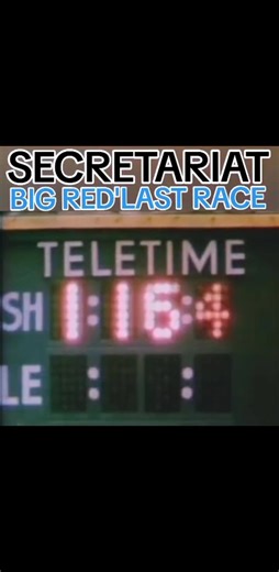 Secretariat Big Red Last Race 1973. | we love Secretariat