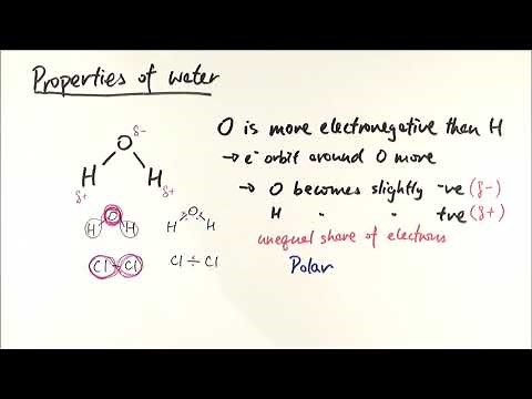 AS Biology - Water (OCR A Chapter 3.2)