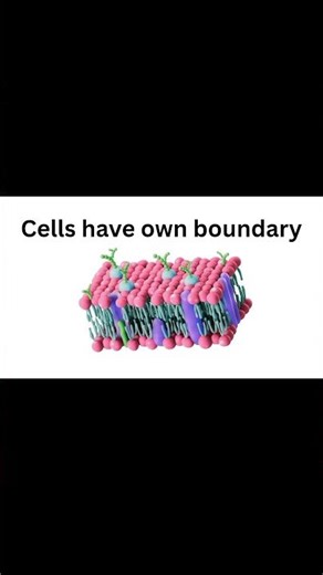 #ScienceForKids #EasyScience #5thClassScience #CellBiology #FunLearning #CartoonScience