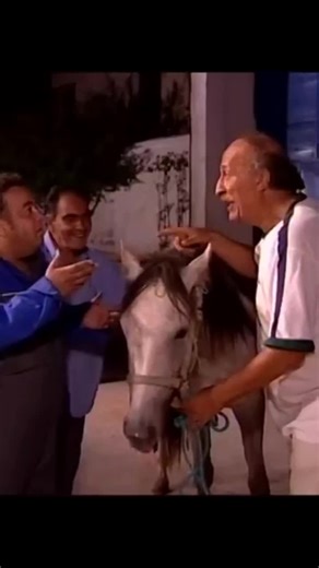 Men Engaging with a Calm White Horse Outdoors