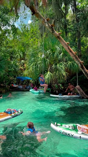 How long can you stay on!? We love seeing our guests have such a wonder time on our tours. Summer fun exploring Rainbow Springs! 📍RAINBOW SPRINGS #rainbowspring Located in Dunnellon, FL | Only 1 hour and 40 minutes away from Orlando Don’t miss out on an this amazing paddle adventure our other destinations! Visit otterpaddleorlando.com | Reservation Required 🤙 BOOK NOW - Link in Bio Don’t forget to tag your OPO adventure! #otterpaddleorlando Our Rides 💦 @NIXY Sports