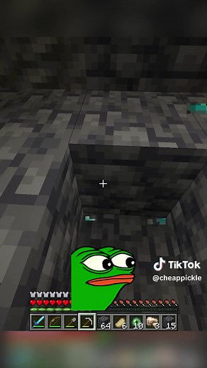 tucker and i adventure to find pickle realm @tinymacdude #minecraft #youtube #cheappickle #minecraftfunny