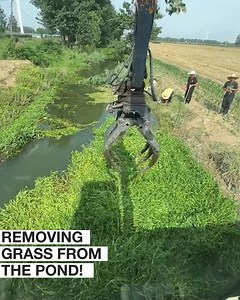 Grass cleanup in the pond!🌿 | Simple ideas