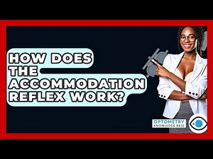 How Does The Accommodation Reflex Work? - Optometry Knowledge Base