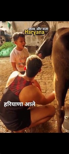 👉 Haryana Ka Culture 💚 Gaav Ki Simple Life & Desi Swag 😎🔥