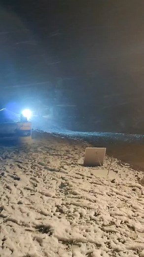 Vola come una farfalla, pungi come un Ape!⚡️ #lorisrosati #apeproto #rally | Loris Rosati