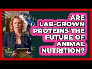 Are Lab-grown Proteins The Future Of Animal Nutrition? - The World of Agriculture