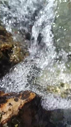 Fast Bubbling Flowing Stream