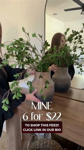 Budget Swap Amazon Finds ✨ Chic, Affordable Home Decor!