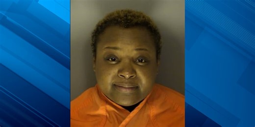Former Horry County corrections officer pleads guilty to filing false tax return, tax evasion