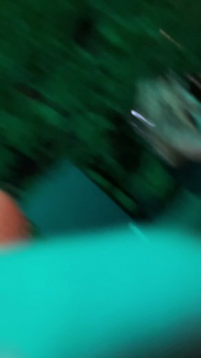 I love supporting my new friends and all the kooky adventures that happen along the way 😇 @Kariselle Snow @comingaliveband