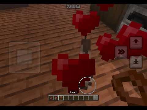 Small Minecraft morning routine !