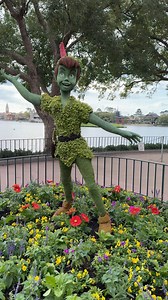 43K views · 2.8K reactions | The Peter Pan topiary display is up at...