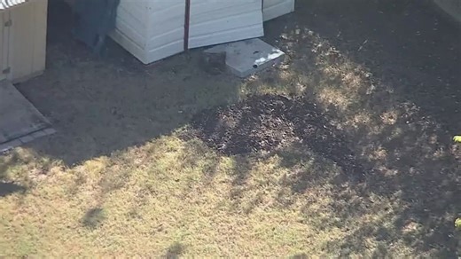 'It was all me' | Mother, stepfather arrested after police found 26-year-old son's body buried in backyard