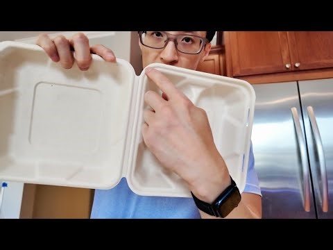 Best Eco-Friendly Takeout Boxes – Freshware 100% Compostable Clamshells Review