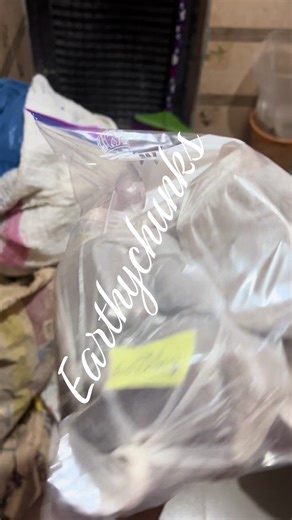 earthychunks (@earthychunks)’s videos with original sound - earthychunks