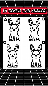 So tell me which rabbit is different?? #quiz #QuizTime #fun #noblequiz #fblifestyle | iPhone Series