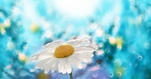 BTSアルバム『MAP OF THE SOUL:7』全収録曲まとめ【楽曲について解説】