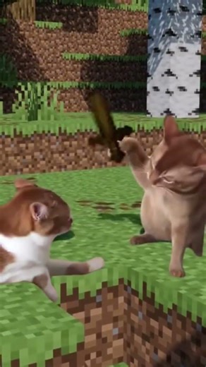 Minecraft Showdown: When Diamond Beats Basic! 🗡️🐱 #crafterboy