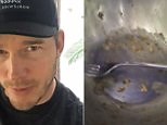 Chris Pratt shares video after farm to table lamb meal