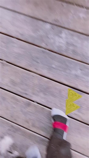 Brandon Douglas (@brandondouglas41)’s videos with The Doggy Anthem by Brandon Zingale 1dude2doodles - Brandon Zingale