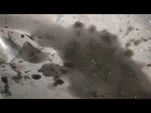 Audi Q5 2.0L turbo - Whining noise from gearbox - Fixed (click link on description for whine sound)