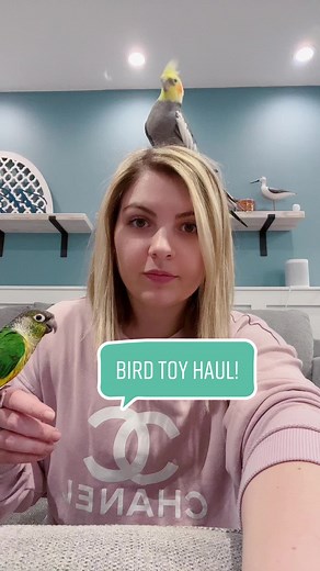 A fun little bird toy haul! What are your parrots favorite toys? #birdsupplies #birdhaul #parrottoys #woodperches #birdfood #topspellet #naturalbirdtoys #naturalbirdtoy #foragingtoy #foragingtoys #parrothaul #chewydelivery