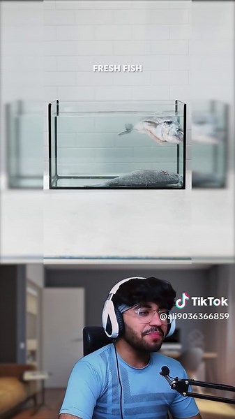 Identifying Fake vs Real Content Online