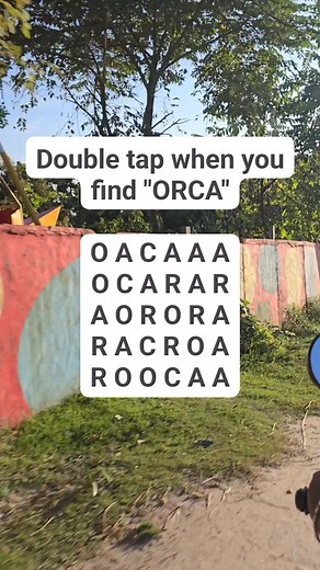 19K views · 857 reactions | Observation Visual Test: 5 Seconds For You To Spot ORCA. Try Your Skills! #search #puzzle | Devlop's IQ & Puzzle | Facebook