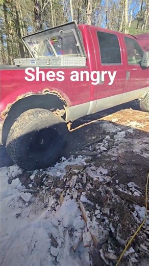 7.3l diesel angry idle