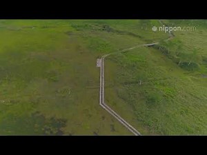 かつての湖底に発達した標高1600メートルの湿原：長野・志賀高原 田ノ原湿原 | nippon.com