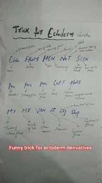 funny trick for ectoderm derivatives