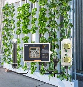 [Hot Item] Digital pH Meter Dual Relay pH Controller for Hydroponic Solution Management Automatically Adjust pH Level