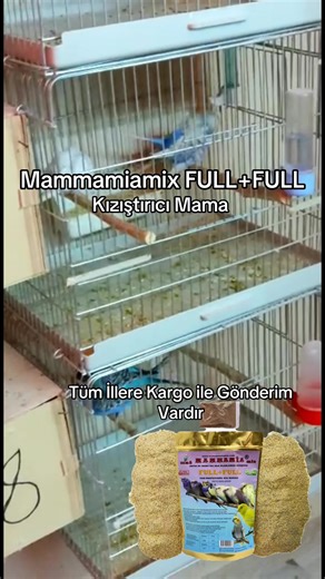 Mammamiamix FULL FULL: Profesyonel Kızıştırıcı Mama