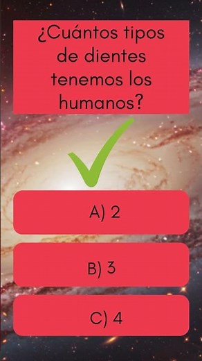 ¿Cuántos tipos de dientes tenemos los humanos?