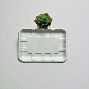 [Hot Item] Compostable Disposable Tableware Biodegradable Plate Sugarcane Bagasse Tray