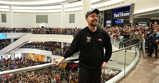 MrBeast and Thailand-based rescue shelter help paralyzed dogs, Internet says 'animals deserve so much'