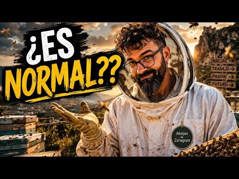 ¡NO PARAN DE CRECER! 😱 El verano pone a prueba nuestras colmenas !!