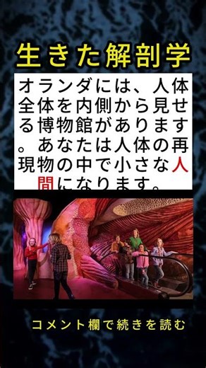 オランダにある、巨大な人体の中を旅する博物館 🚶‍♂️🚶‍♀️