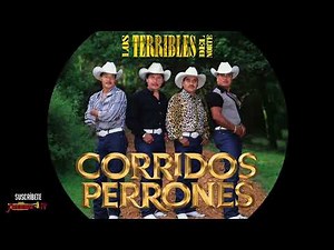 LOS TERRIBLES DEL NORTE - CORRIDOS PERRONES / Playlist Oficial 2023